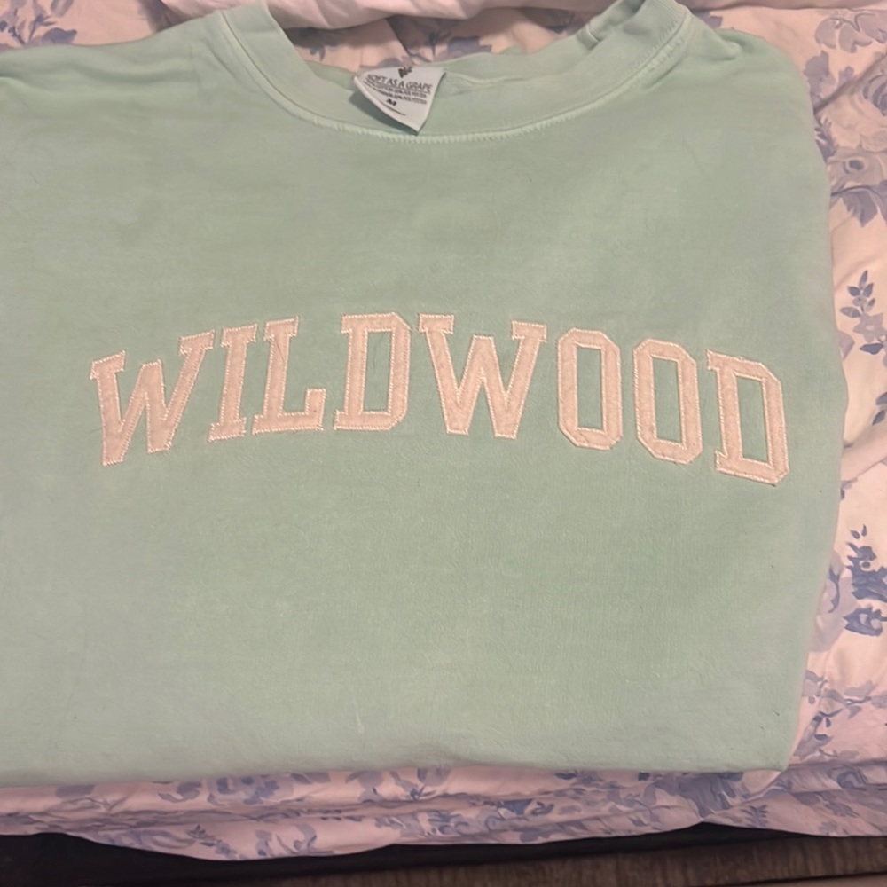 Mint/Green Wildwood size medium crewneck